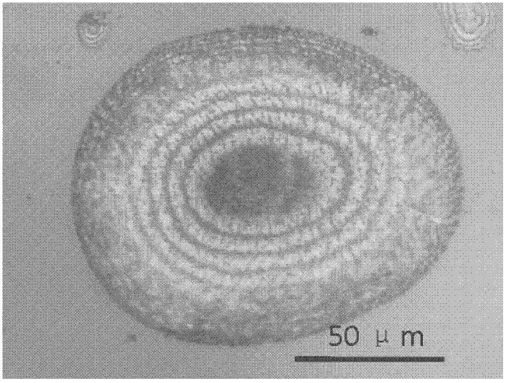 Annular photonic crystal, and preparation method and application thereof