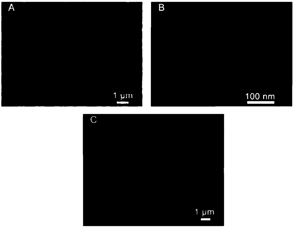 Application of polydopamine-modified n-type semiconductor materials in the construction of optoelectronic immunosensors