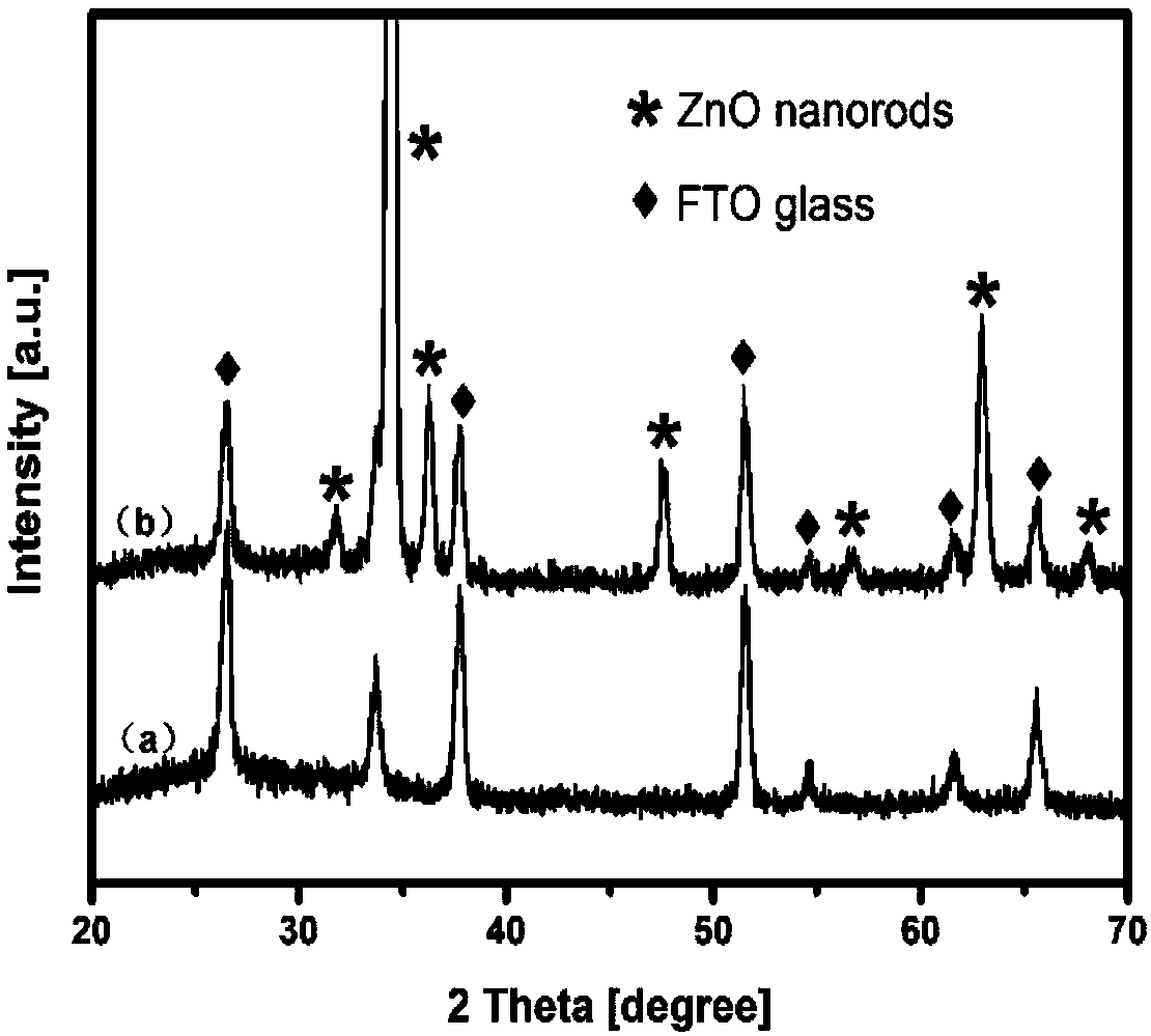 Application of polydopamine-modified n-type semiconductor materials in the construction of optoelectronic immunosensors