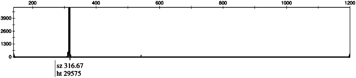 Calibration product for fragile X syndrome virulence gene detection and application thereof