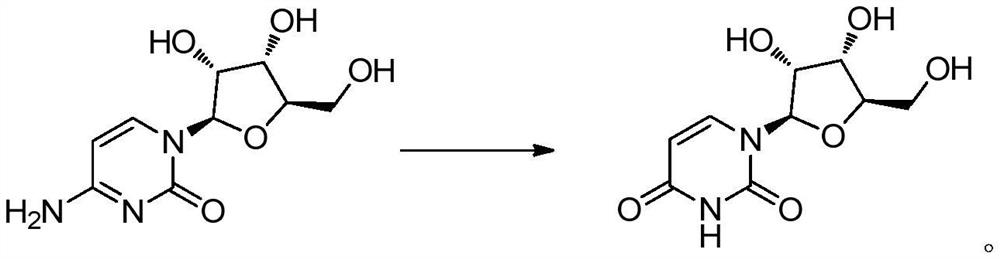 Synthesis process of uridine