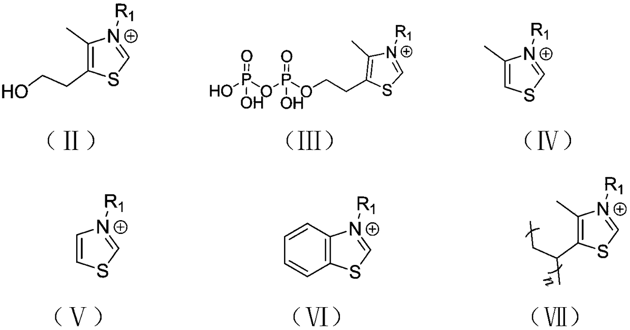 Cyclic ester bulk ring-opening polymerization method by taking thiazole onium salt as catalyst and catalyst preparation method