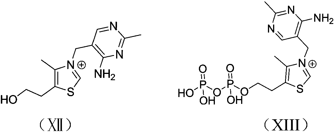 Cyclic ester bulk ring-opening polymerization method by taking thiazole onium salt as catalyst and catalyst preparation method