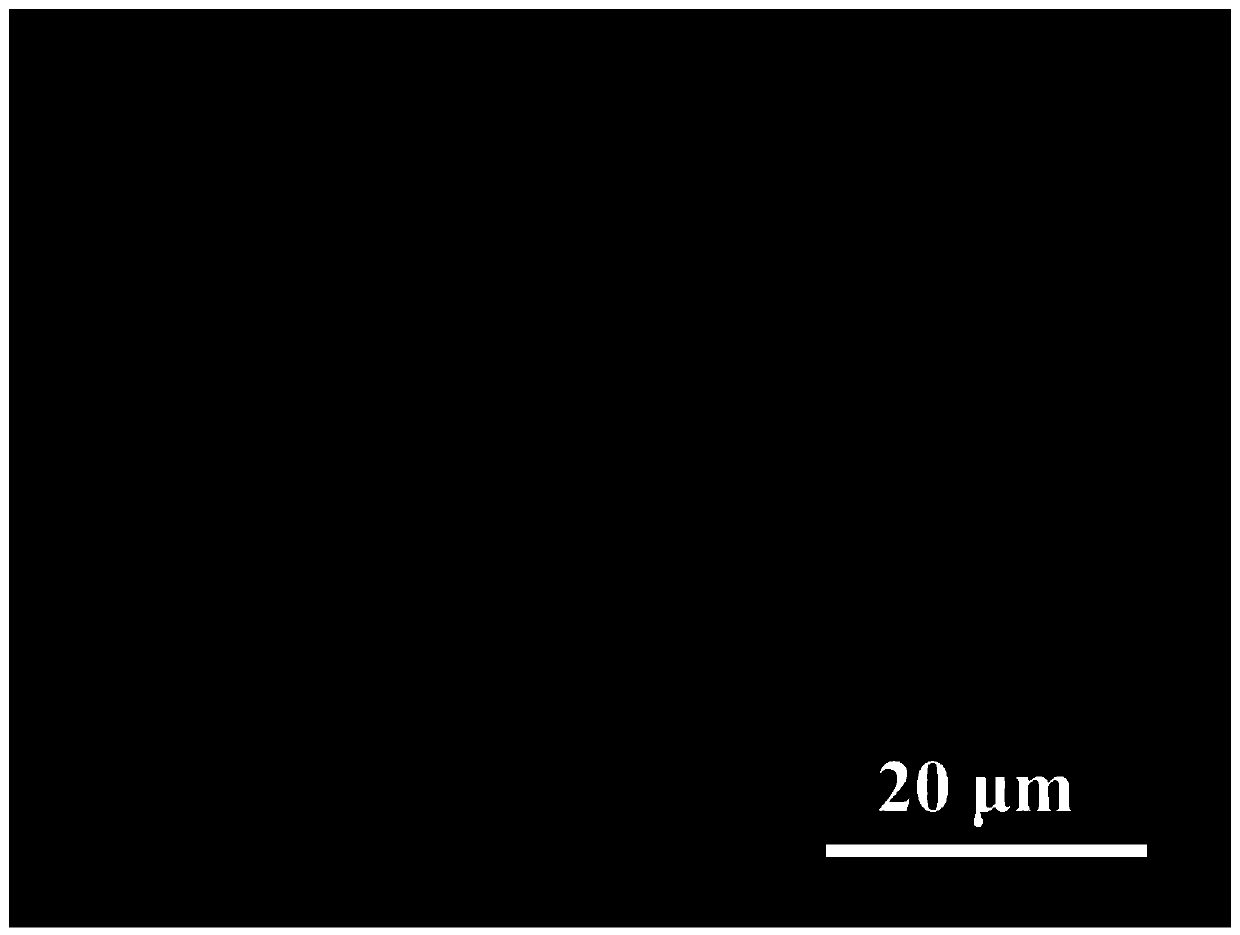 Method for preparing bulk molybdenum disulfide surface Raman-enhanced substrate through femtosecond lasers