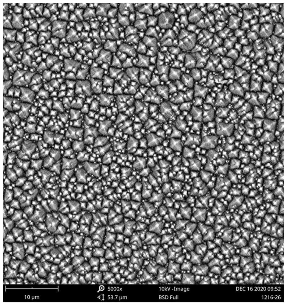 Texturing method for pretreating surface of monocrystalline silicon wafer by adopting electrochemical method