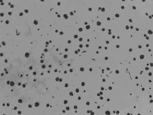 Spheroidizing Treatment Method of High Nickel Ductile Iron