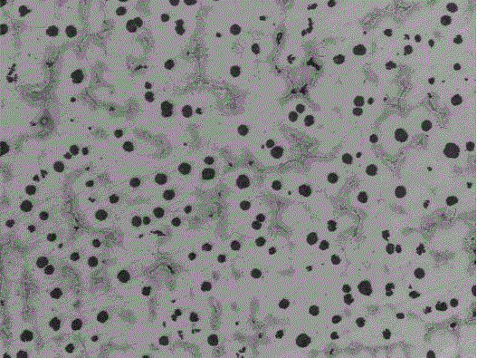 Spheroidizing Treatment Method of High Nickel Ductile Iron