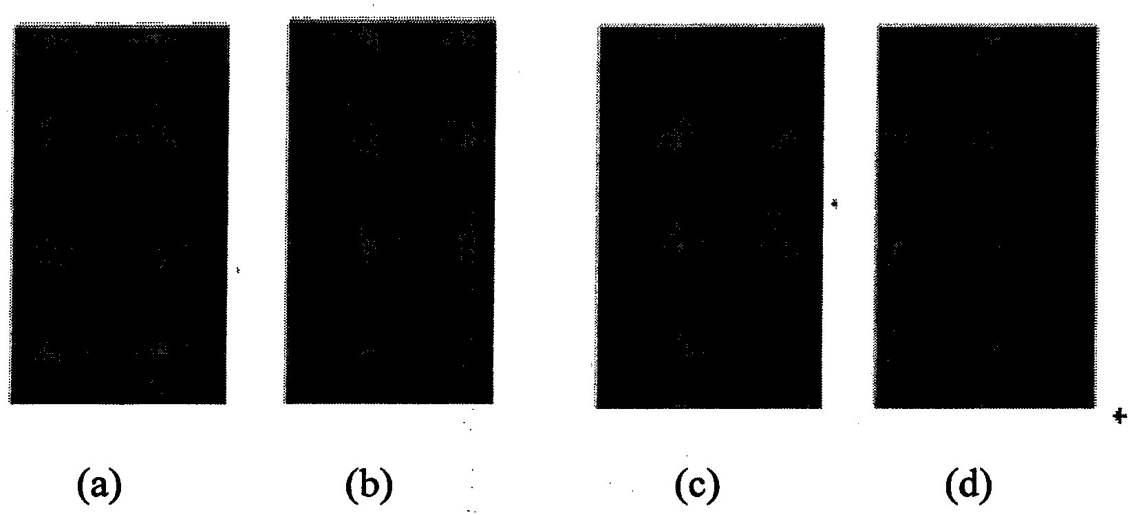 Wool knitted fabrics shape-remembering finishing agent as well as preparation method and application thereof