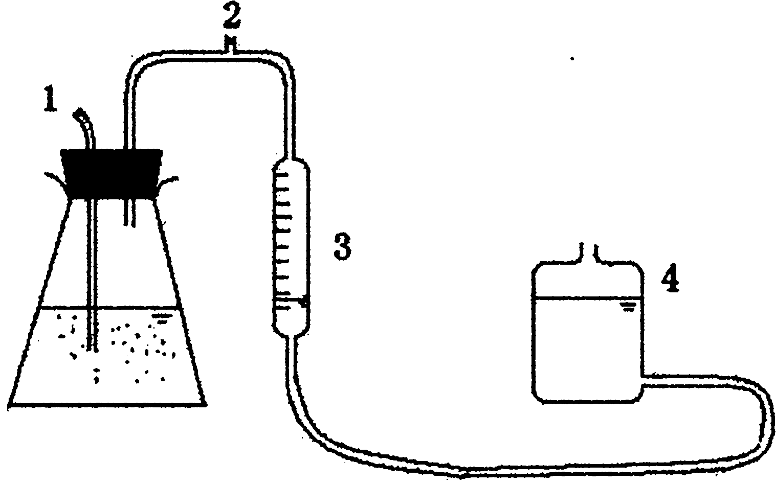 Method for producing hydrogen by fermenting special anaerobic clostridium butyricum