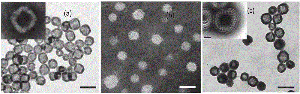 Coating and modification method for prussian blue nanometer mesocrystal cytomembrane