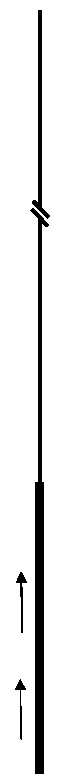 Chromosome walking method based on PCR (Polymerase Chain Reaction) technology