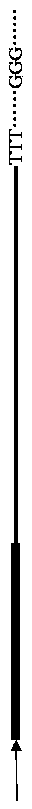 Chromosome walking method based on PCR (Polymerase Chain Reaction) technology