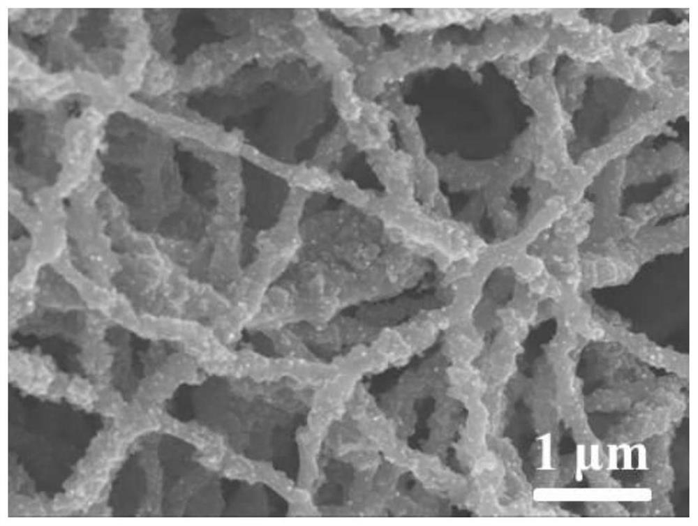 Preparation method and application of carbon nanofiber-based electrocatalyst
