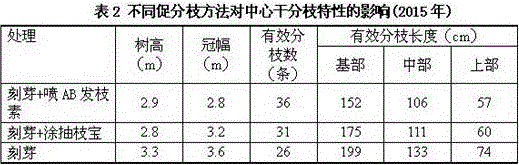 Method for promoting branching of central trunk of tree-rootstock sweet cherry