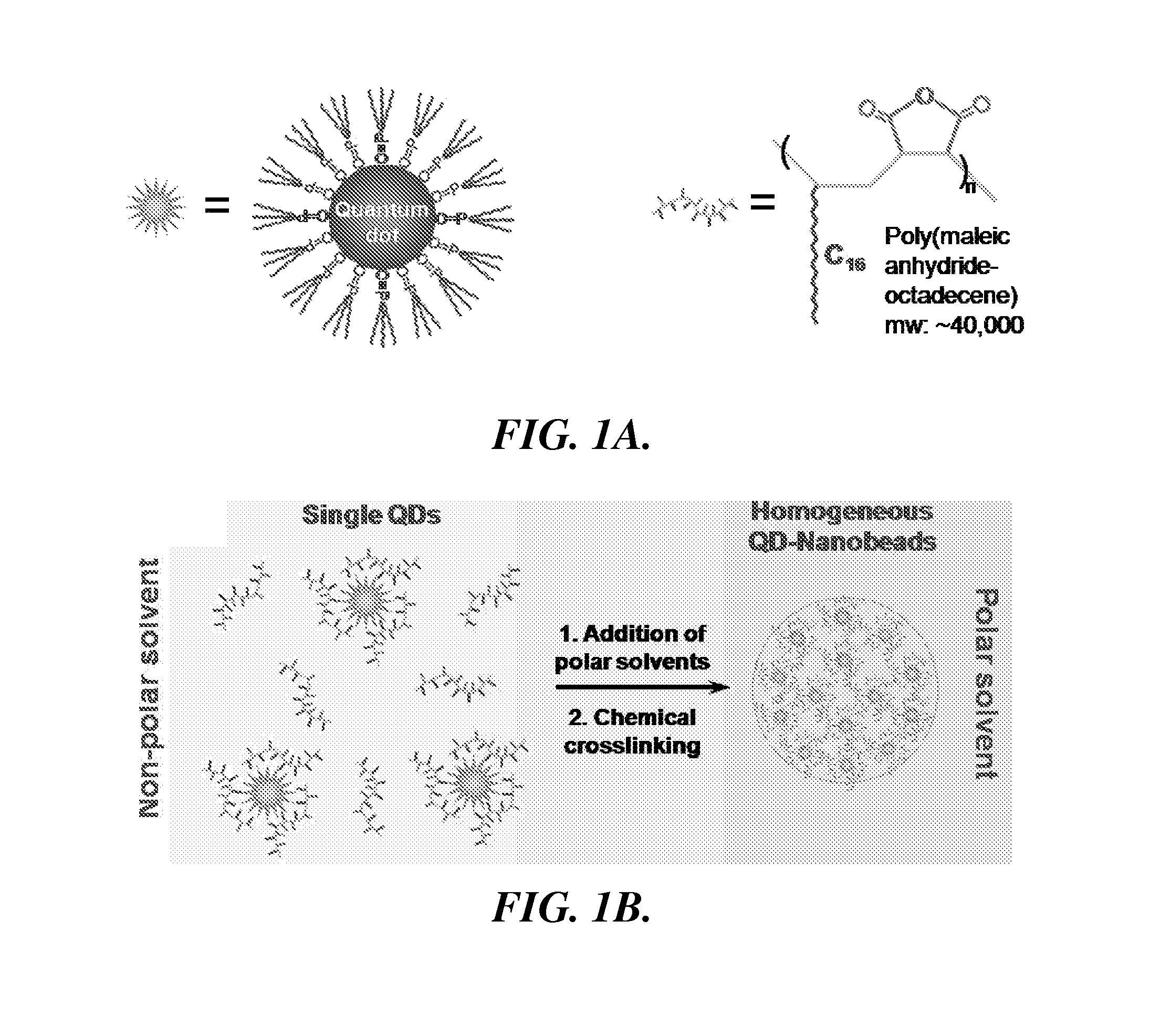 Nanoparticle assemblies and methods for their preparation