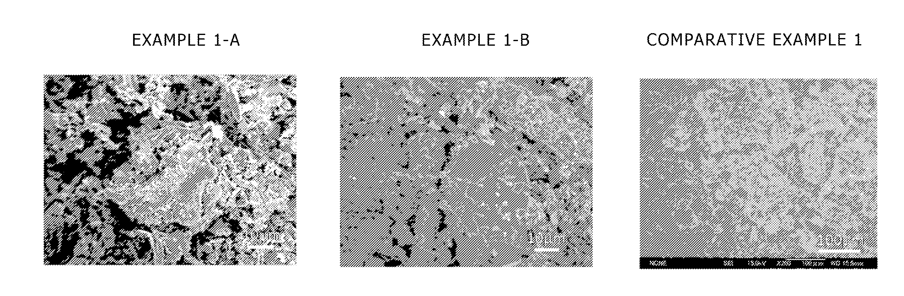 Fungicide, photo catalytic composite material, adsorbent, and depurative
