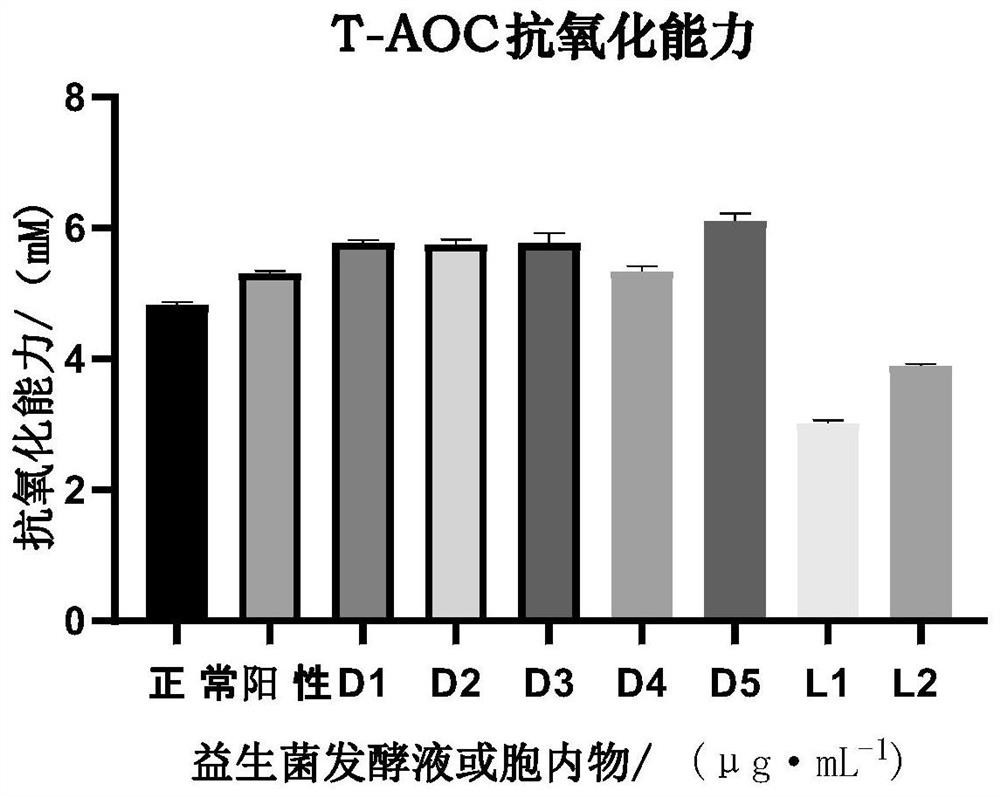 Bifidobacterium animalis with function of relieving oxidative damage of HaCaT cells