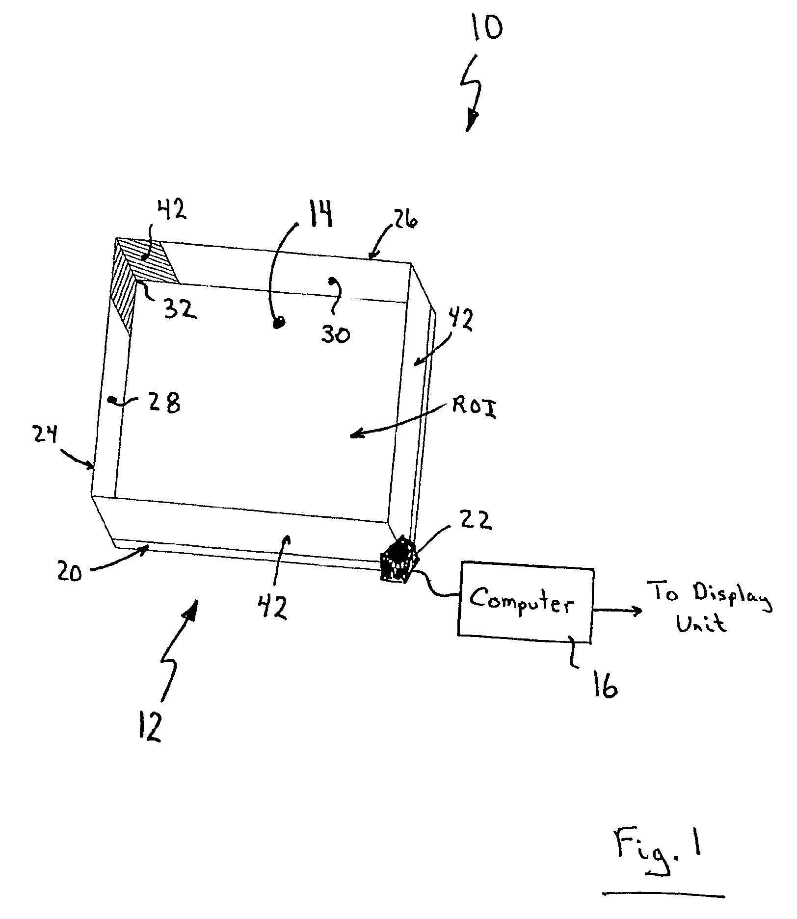 Apparatus for determining the location of a pointer within a region of interest