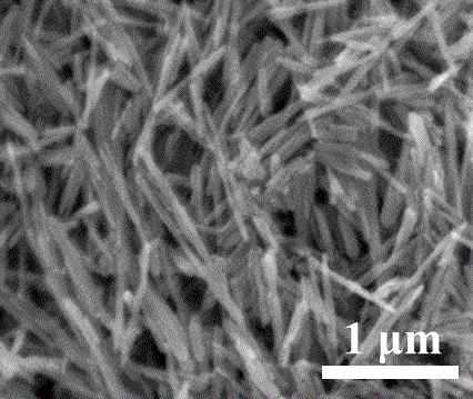 Preparation method of size-controllable mono-crystalline zinc oxide nano-rods