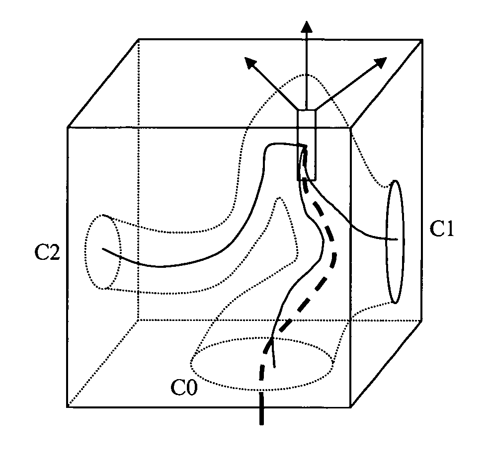 Method and apparatus for automatic local path planning for virtual colonoscopy
