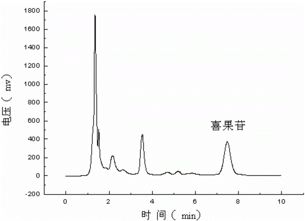 Method for purifying vincoside lactam