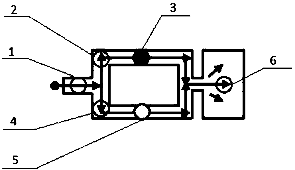 Microfluidic chip based on Morpho menelaus and manufacturing method thereof