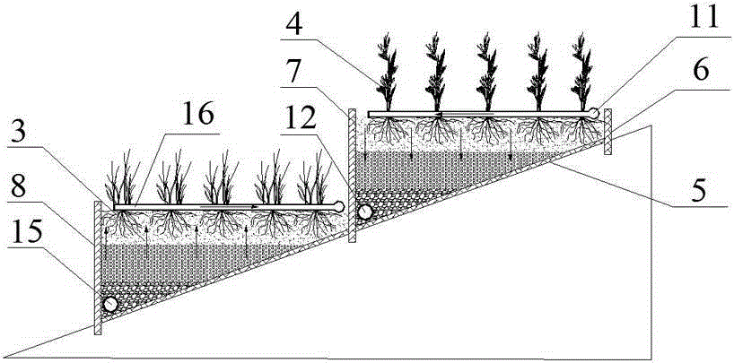 Sloping bottom type integrated vertical-flow constructed wetland system