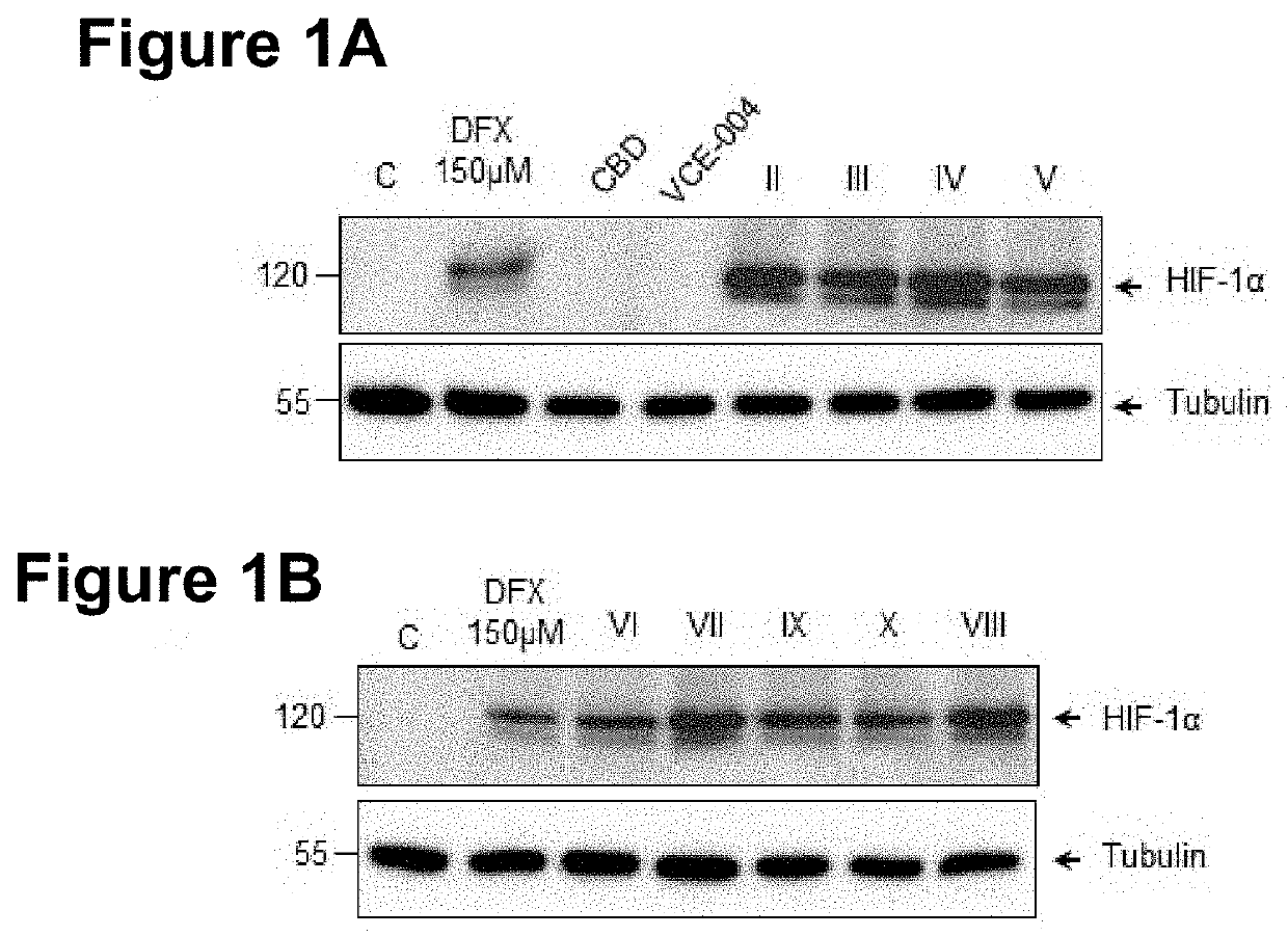 Cannabidiol derivatives as inhibitors of the hif prolyl hydroxylases activity