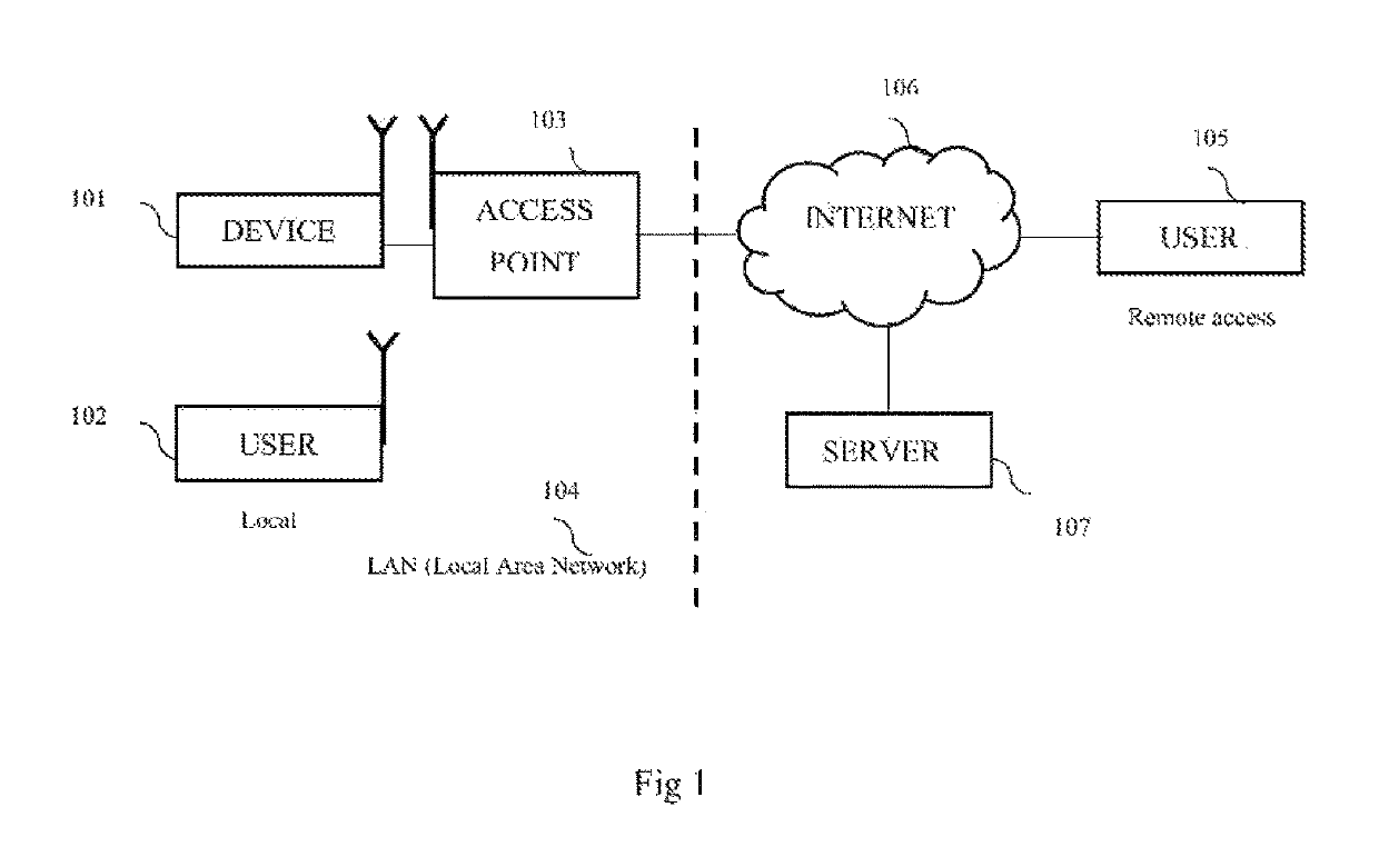 Local and remote access apparatus and system for password storage and management