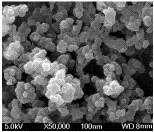 Preparation method and application of imprinted magnetic nanoparticle PQQ-DA