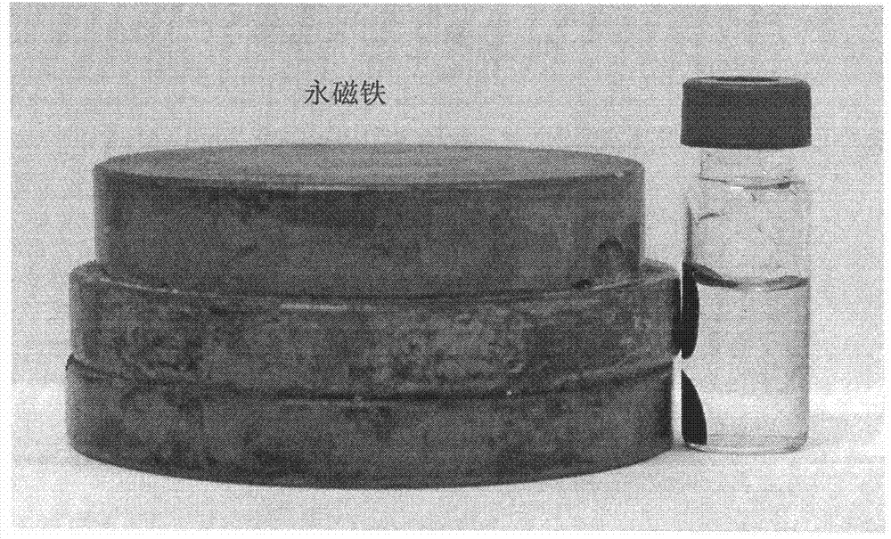 Magnetic separation method of chlorella