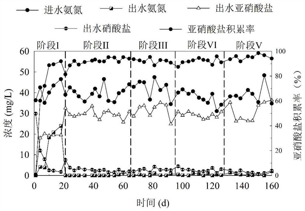 Device and method for quickly starting and maintaining short-cut nitrification of urban sewage based on p-chloro-m-xylenol