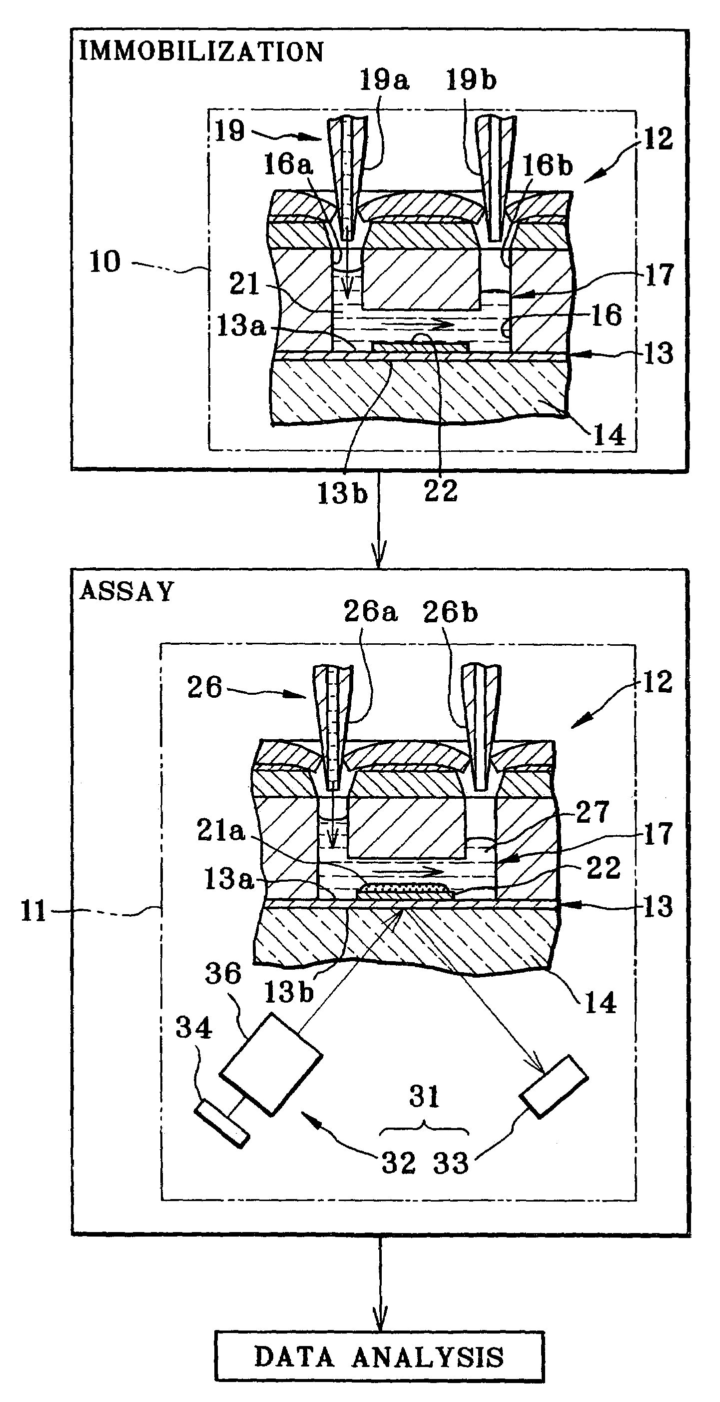 Apparatus and method of assay in utilizing attenuated total reflection