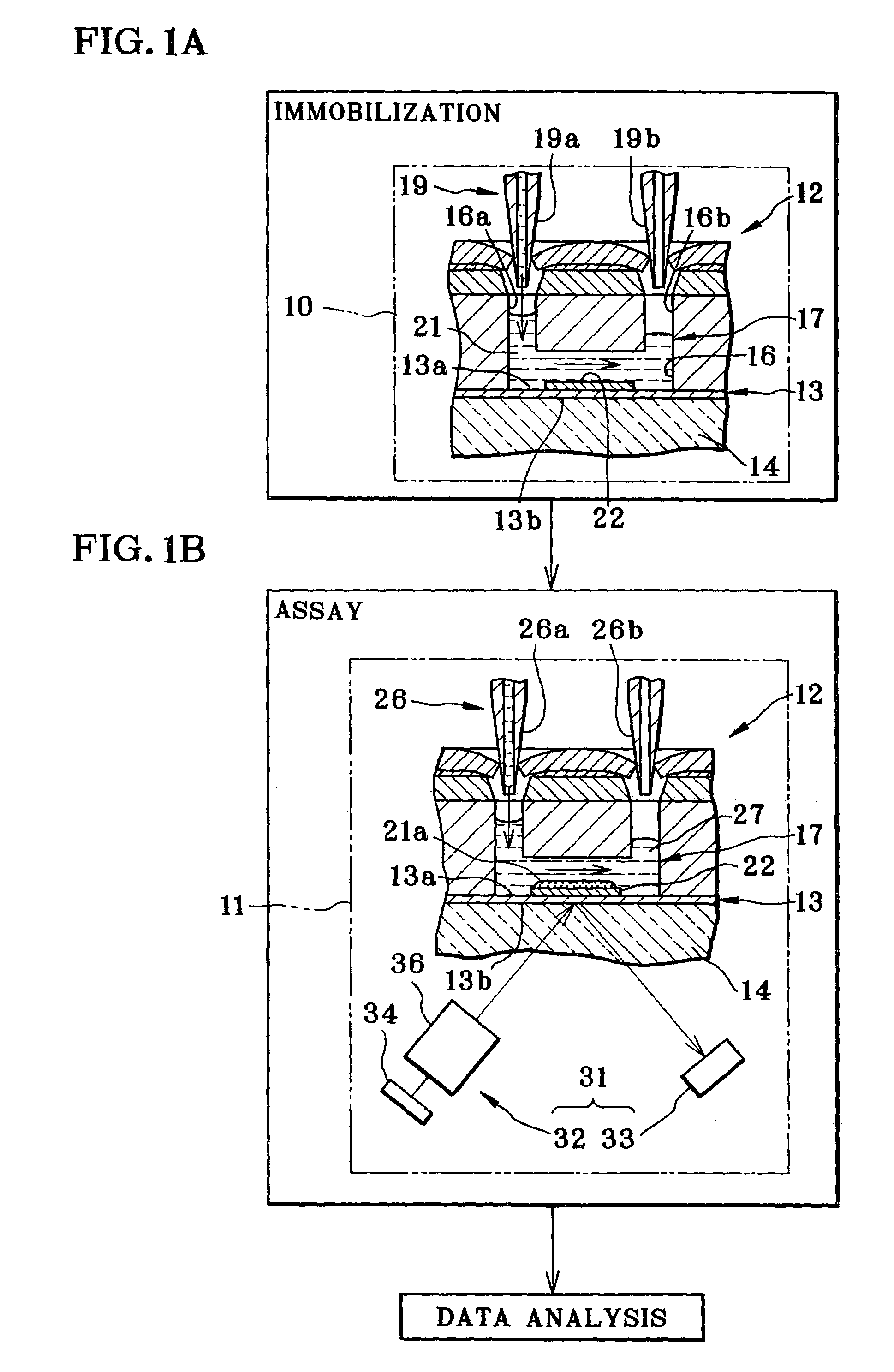 Apparatus and method of assay in utilizing attenuated total reflection