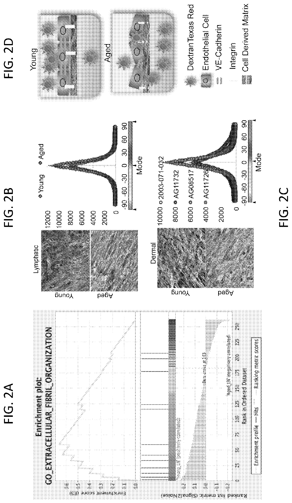 Compositions and methods for prevention and reduction of metastasis