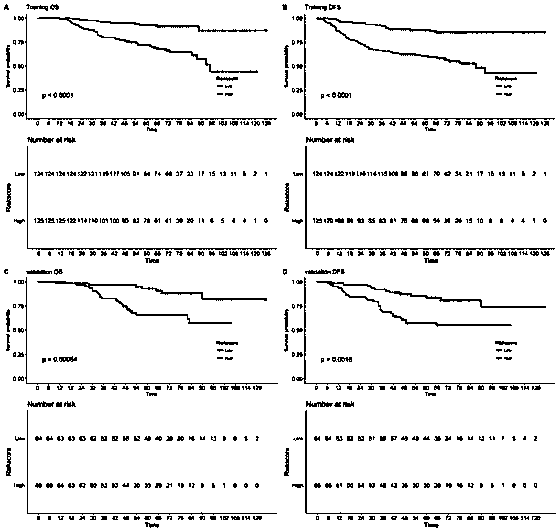 Cyclic RNA molecular marker for predicting prognosis and death risk of colorectal cancer and application of cyclic RNA molecular marker