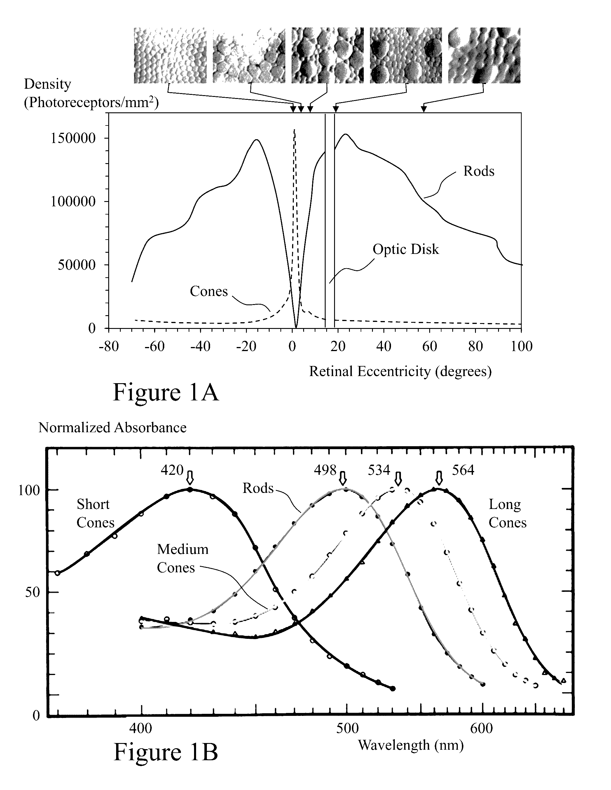 Apparatus and method for enhancing human visual performance in a head worn video system