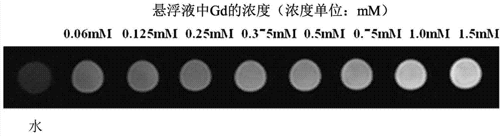 Preparation method for Gd2O3 nanoparticle controllably surface-modified by dopamine and used for positive reinforcement of MRI radiography