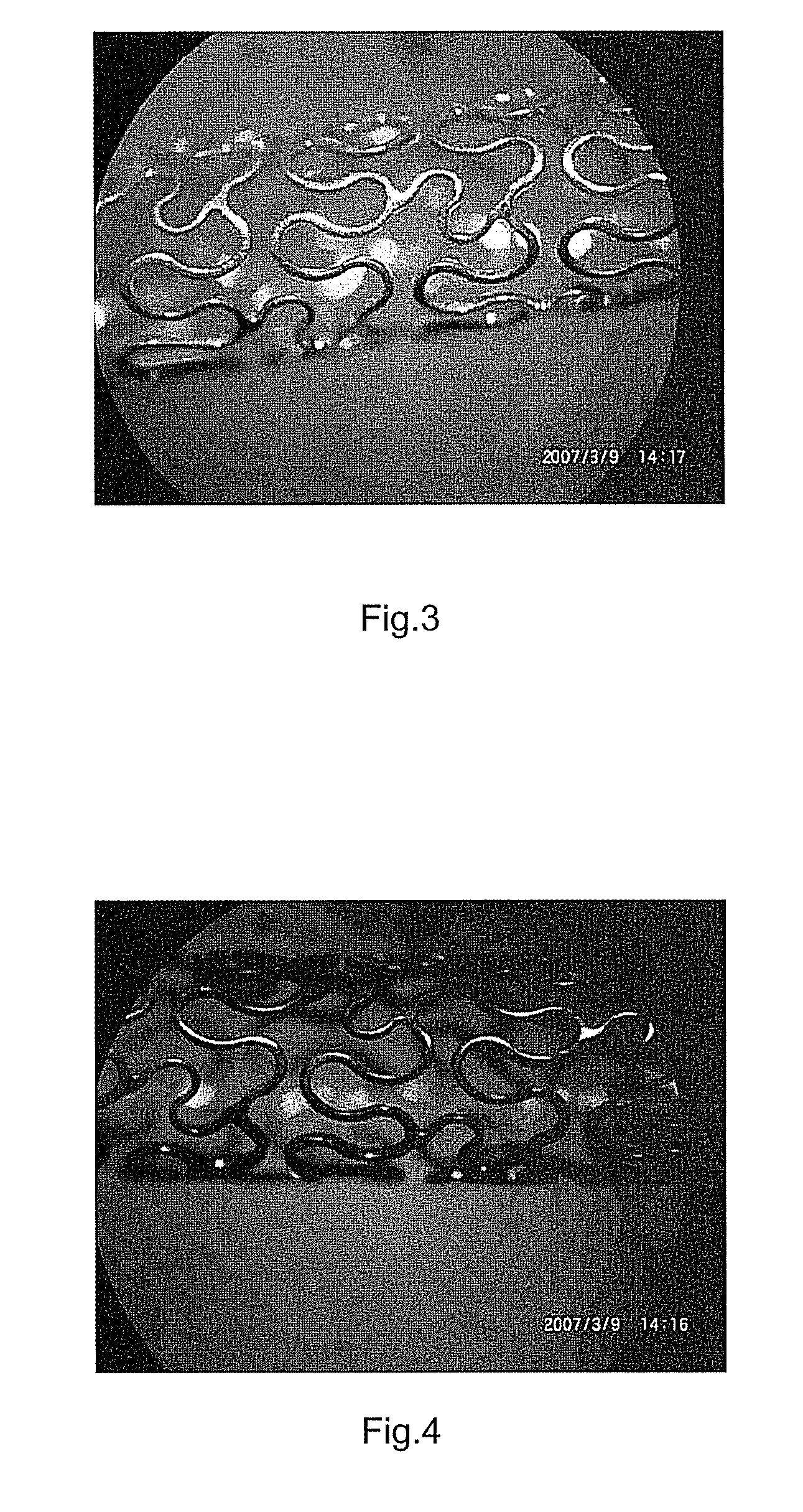 Method for fixing antibody on the surface of medical instrument