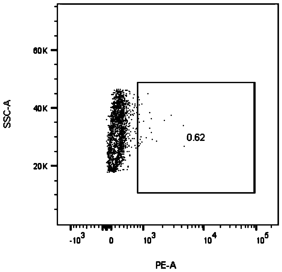 A specific T cell receptor for egfr L858R gene mutation and its application