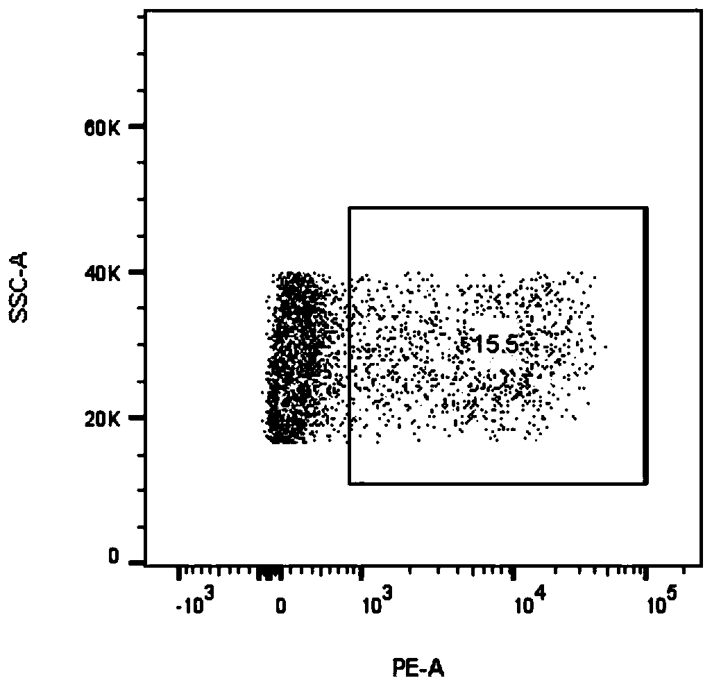 A specific T cell receptor for egfr L858R gene mutation and its application