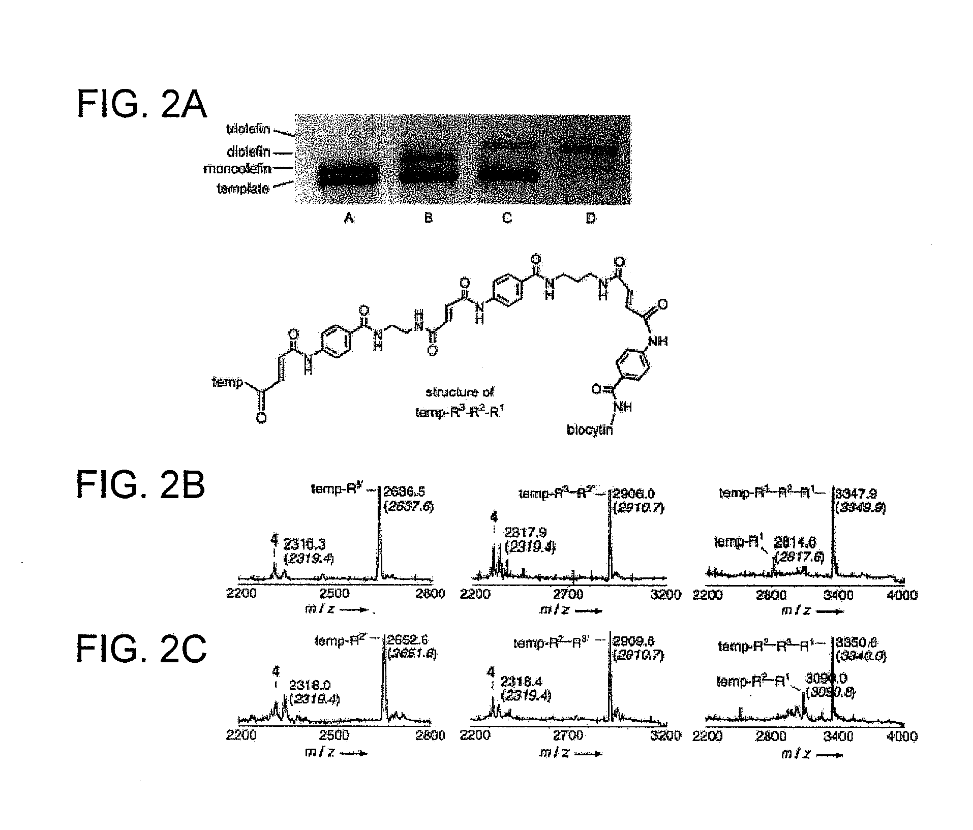 Ordered Multi-Step Synthesis by Nucleic Acid-Mediated Chemistry