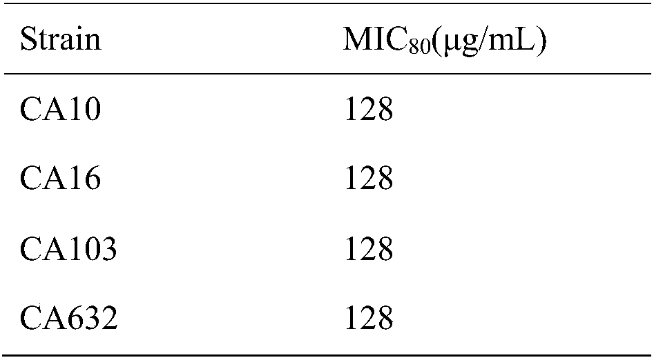 Application of NBP in preparation of antifungal product and product of butyphthalide