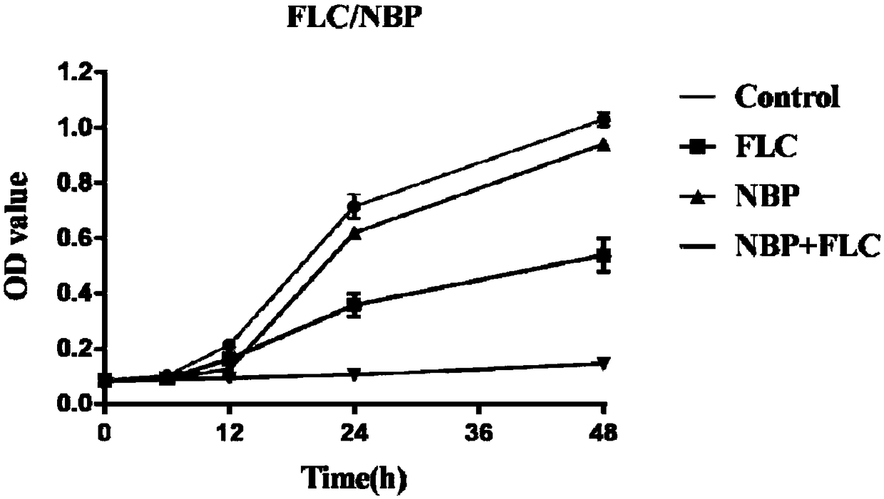 Application of NBP in preparation of antifungal product and product of butyphthalide