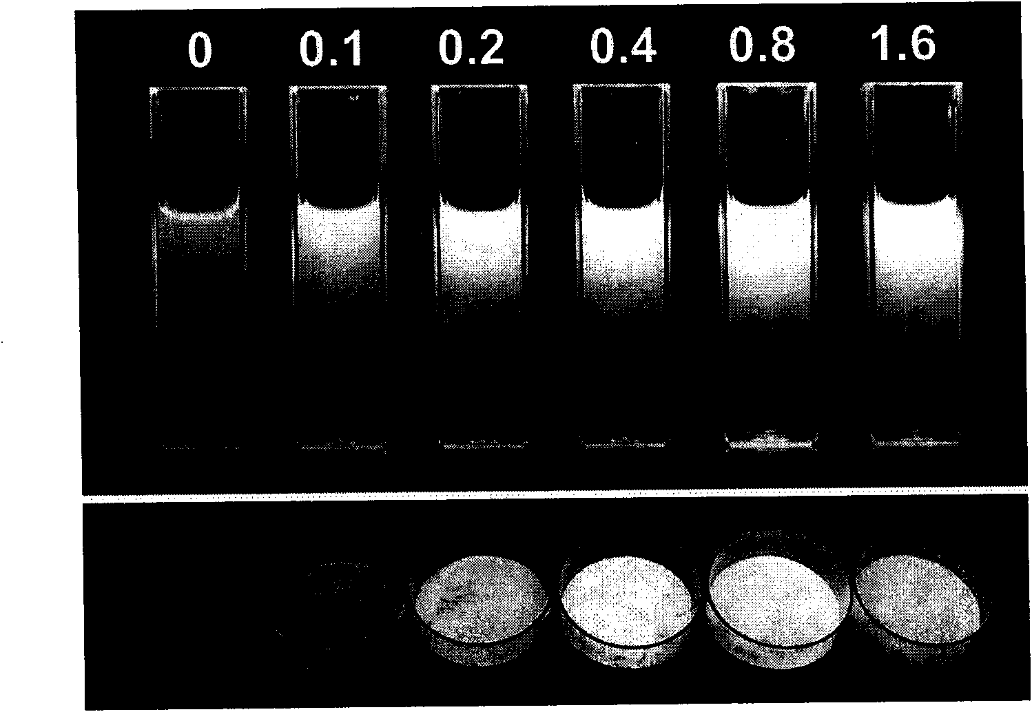 Mg doped zinc oxide luminescent nanoparticle and the preparation method thereof
