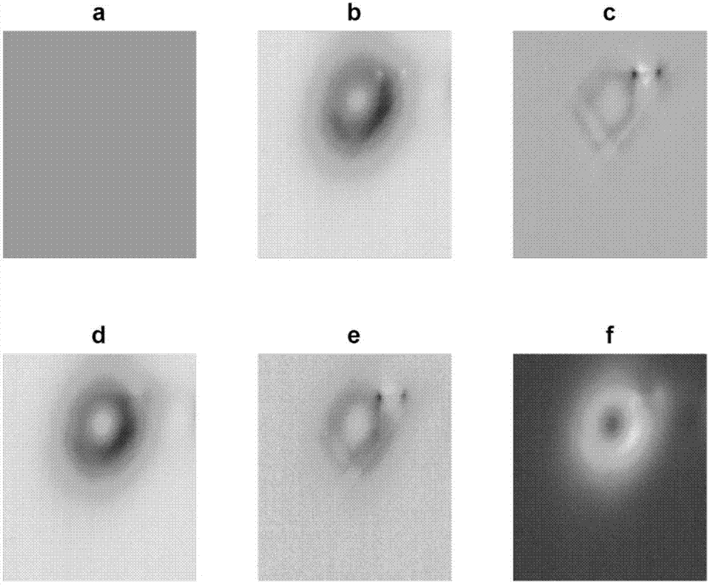 Nondestructive testing enhancement method of internal defects of composite carbon fiber plate