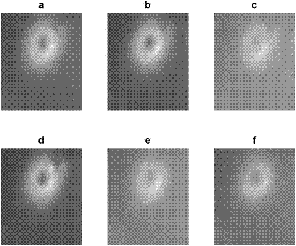 Nondestructive testing enhancement method of internal defects of composite carbon fiber plate