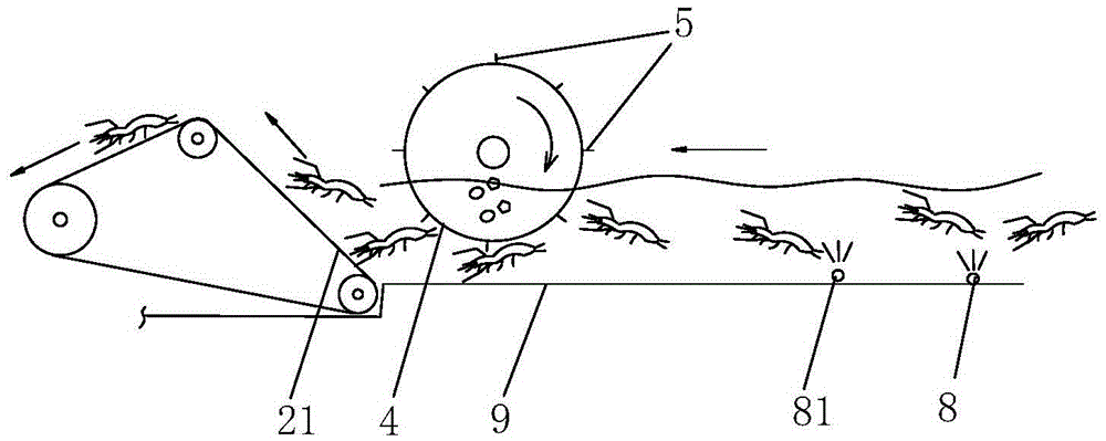 Processing method of shrimps with shells