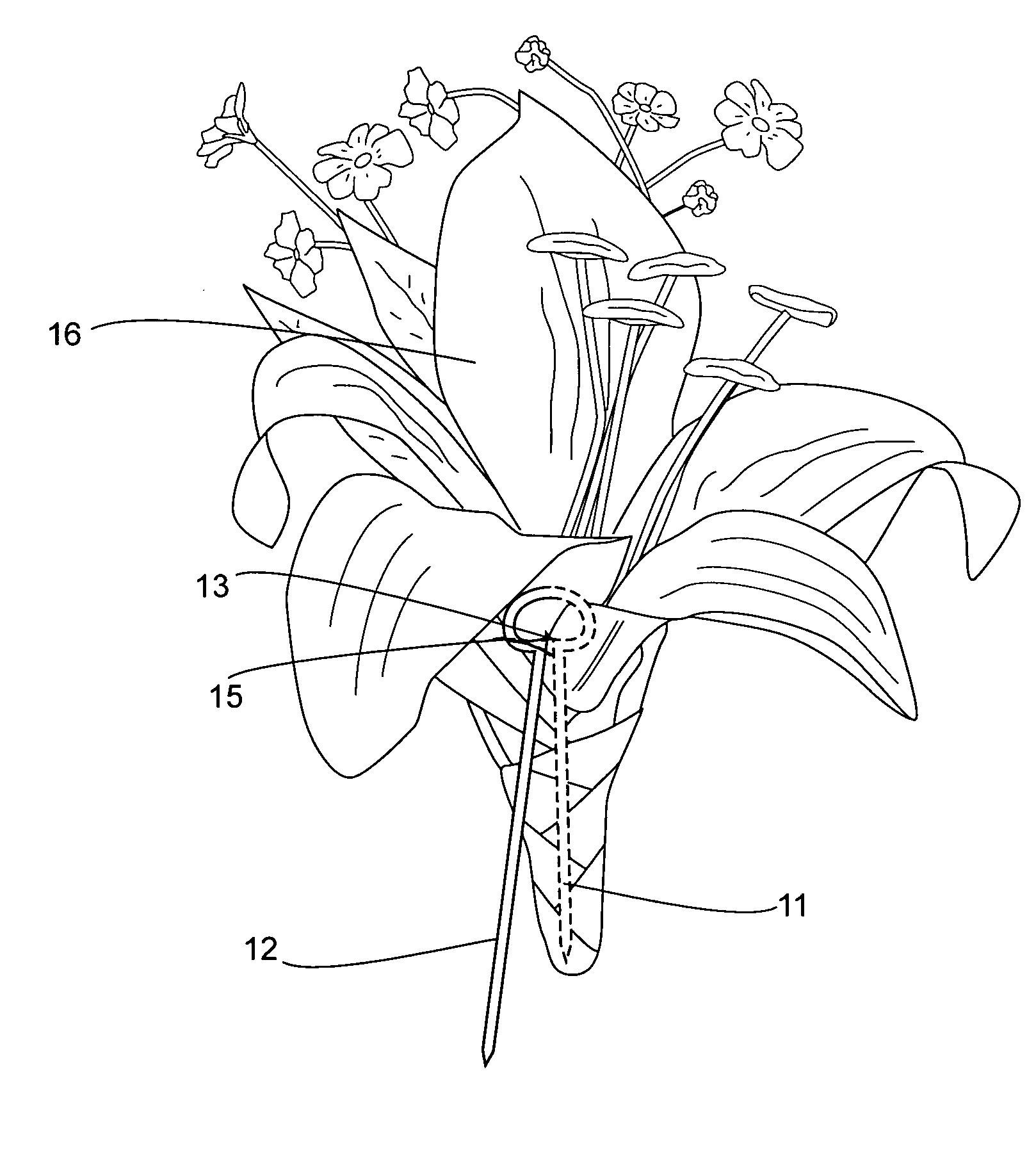 Two-pronged corsage pin