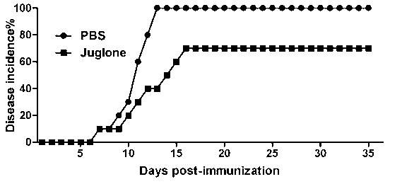 Application of juglone to preparation of medicament for treating autoimmune and inflammatory diseases